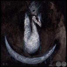 Cauda Pavonis - Ilustración de Samuel Araya